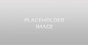 Neighborhoods: New York City Metropolis